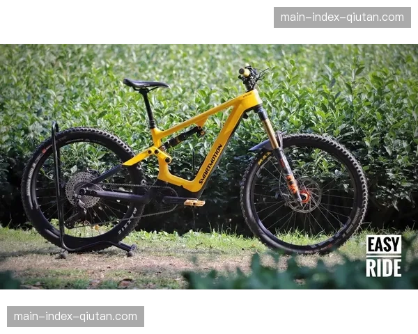 电助力山地车（E-MTB）世锦赛：德国车手包揽男女组别冠军